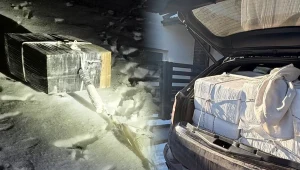 Straż Graniczna poinformowała o rozbiciu grupy przestępczej trudniącej się przemytem papierosów z Białorusi do Polski