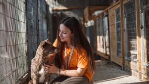 Schroniskowa codzienność nie jest łatwa. „Wszystko zamiatane pod dywan”