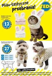 Muzyka, zabawa i dekoracje - TEDi