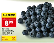 Borówka amerykańska