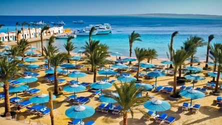 Jesień pod palmami? Te miejsca gwarantują pogodę i przystępne ceny