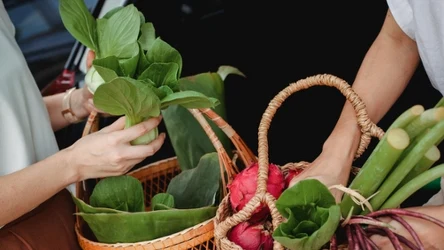 Siwienie włosów można opóźnić odpowiednią, zdrową dietą