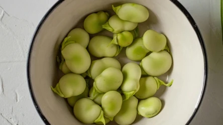 Przepisy na dania z bobu