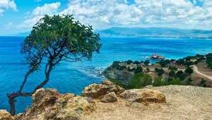 Nie tylko Afrodyta, rajska wyspa oferuje dużo więcej. Polacy ją pokochali