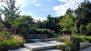 Jaki kamień wybrać do ogrodu?