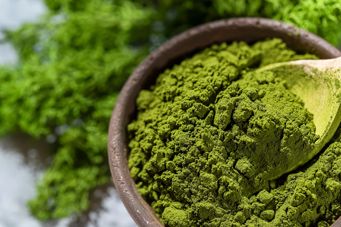 Dlaczego warto włączyć chlorelle do codziennej diety? 
