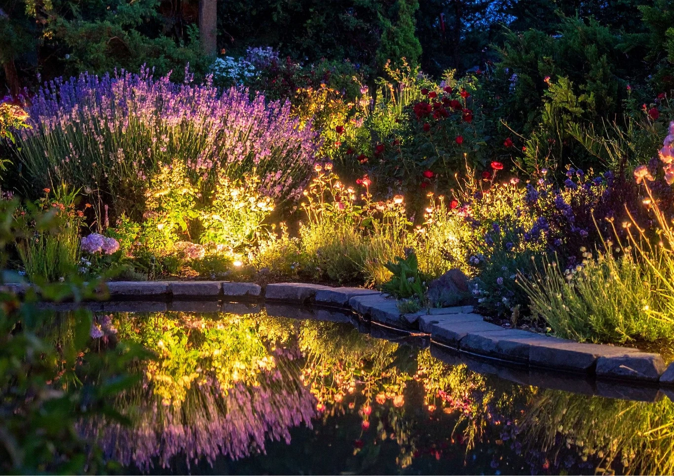 Ogród nocą staje się magiczny