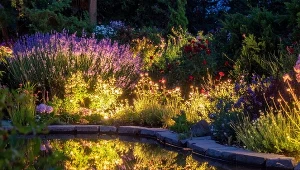 Ogród nocą staje się magiczny