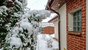 Zrób to w ogrodzie w lutym. Latem utoniesz w kwiatach i owocach