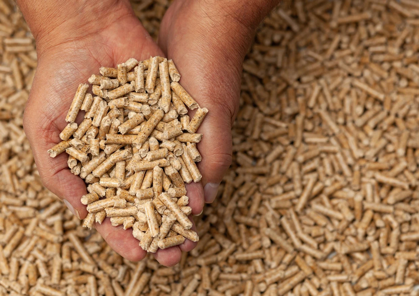 Czy pellet jest ekologiczny?
