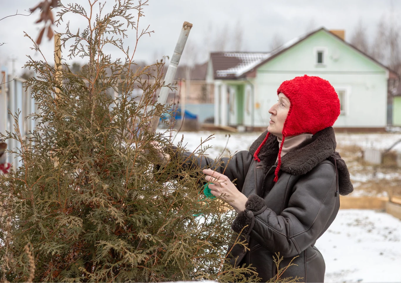 Przed zimą należy wykonać kilka zabiegów