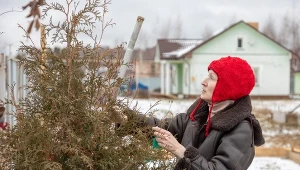 Przed zimą należy wykonać kilka zabiegów