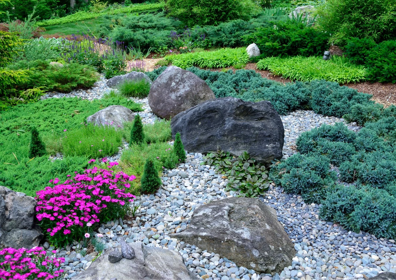 Jakie wybrać rośliny na skarpę?