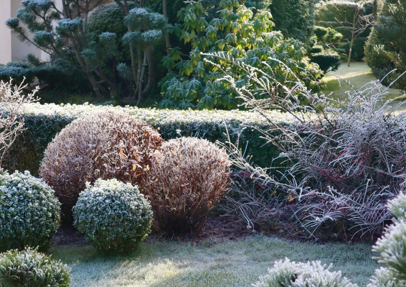Jakie zabiegi wykonać przed zimą?