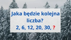 Ta zagadka wymaga koncentracji. Znajdziesz szóstą liczbę? 
