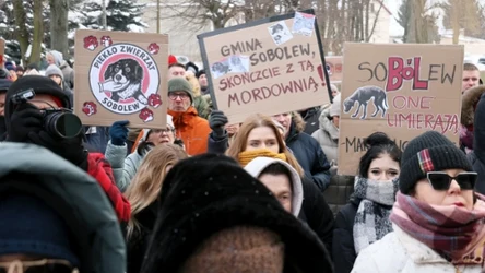 Protest w obronie zwierząt w schronisku w Sobolewie zakończył się likwidacją placówki
