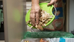 Nigdy nie wyrzucaj ich do bioodpadów. Kosz szybko zacznie brzydko pachnieć