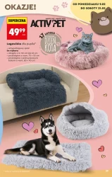 Hity i inspiracje - Biedronka