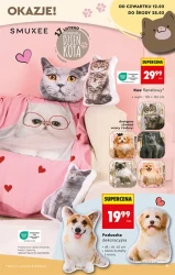 Hity i inspiracje - Biedronka