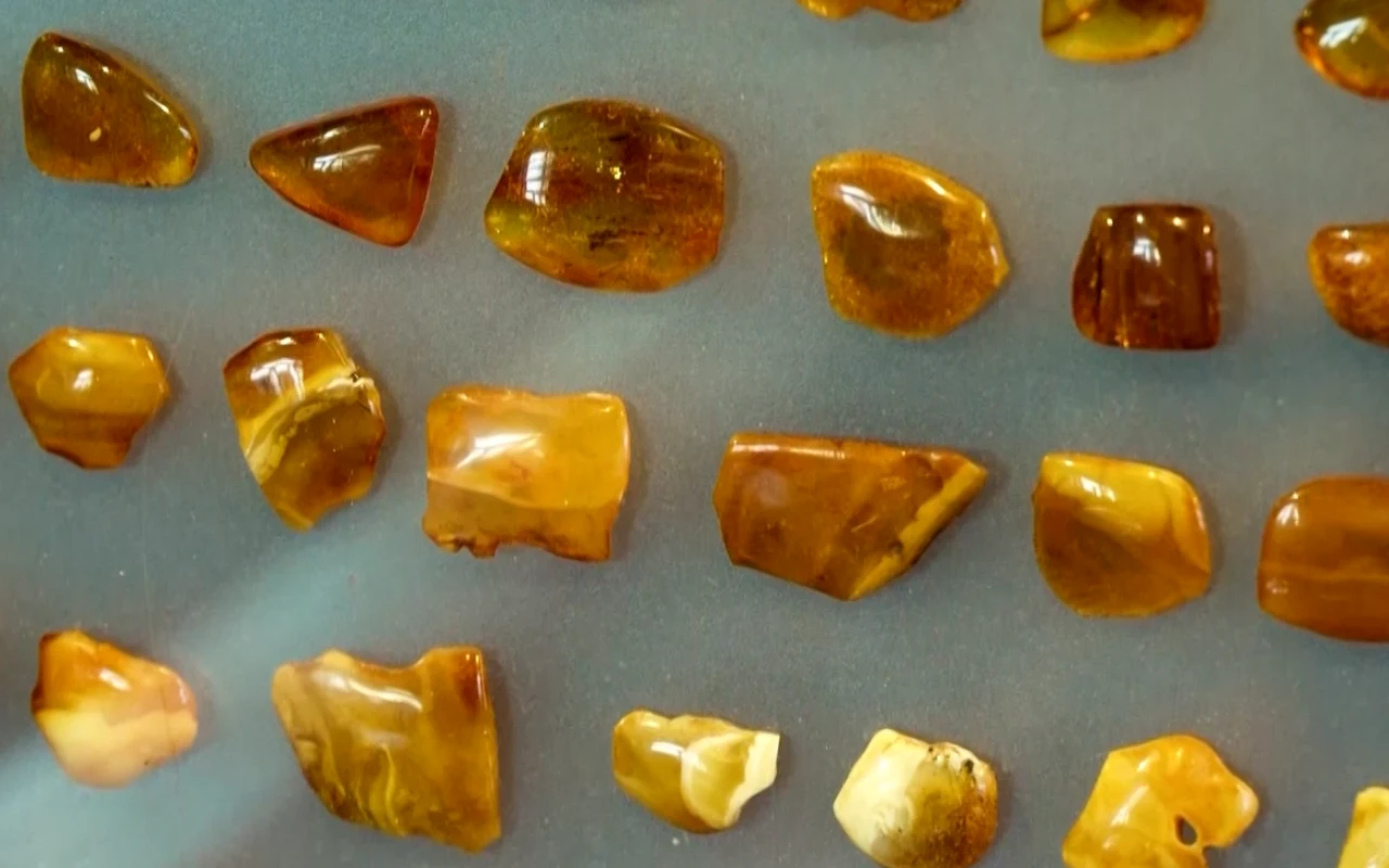 Jak rozpoznać prawdziwy bursztyn?