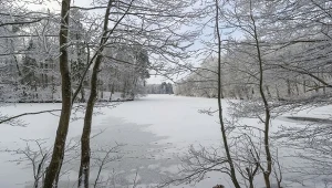 Będzie mniej kleszczy i komarów? Ekspert mówi, jak owady reagują na mróz