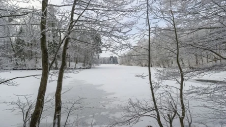 Mroźna zima nie oznacza zmniejszenia populacji komarów ani kleszczy