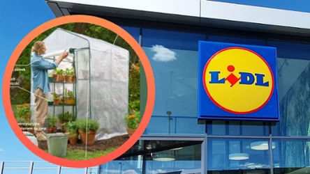 Lidl szykuje ogrodowe hity. Parkside wraca z dużą ofertą już od poniedziałku