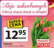 Bukiet tulipanów Tulipany