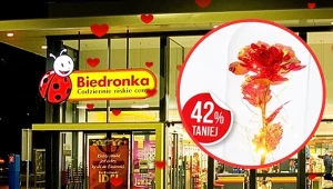 Ludzie oszaleli na punkcie tej lampy! Kosztuje tylko 39,99 zł