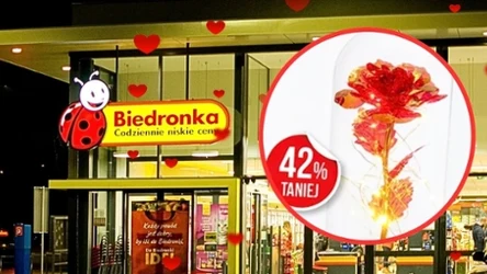 Ludzie oszaleli na punkcie tej lampy! Kosztuje tylko 39,99 zł