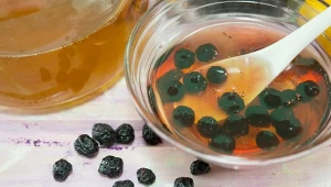 "Czarna jarzębina" nie kumuluje toksyn. Ważny owoc dla wątroby i nerek