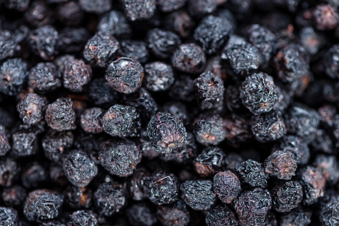 Zbliżenie na warstwę suszonych jagód aroni, owoce mają ciemnofioletowy, niemal czarny kolor i pomarszczoną skórkę.