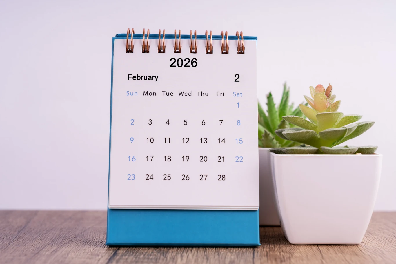 Biurkowy kalendarz na luty 2026 ustawiony na drewnianej powierzchni obok dwóch doniczek z sukulentami, tło jasne i minimalistyczne.