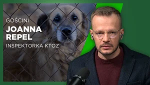 Mężczyzna w okularach siedzi przed mikrofonem, w tle widoczny duży pies za ogrodzeniem z siatki oraz tekst informujący o gościni Joannie Repel, inspektorce KTOZ.