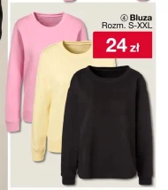 Bluza