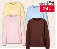 Bluza