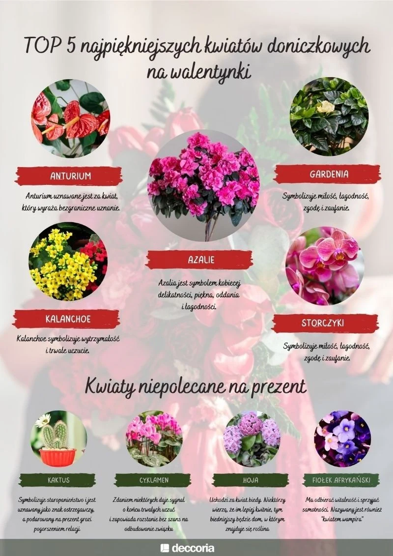 To najlepsze i najgorsze kwiaty, jakie możesz wybrać na Walentynki. Wyk. deccoria.pl