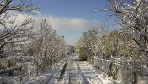 Zimą na działkach ROD bywa niebezpiecznie