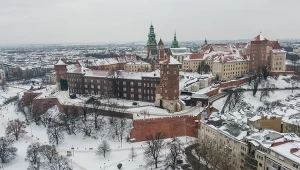 W Krakowie stwierdzono przypadek ptasiej grypy
