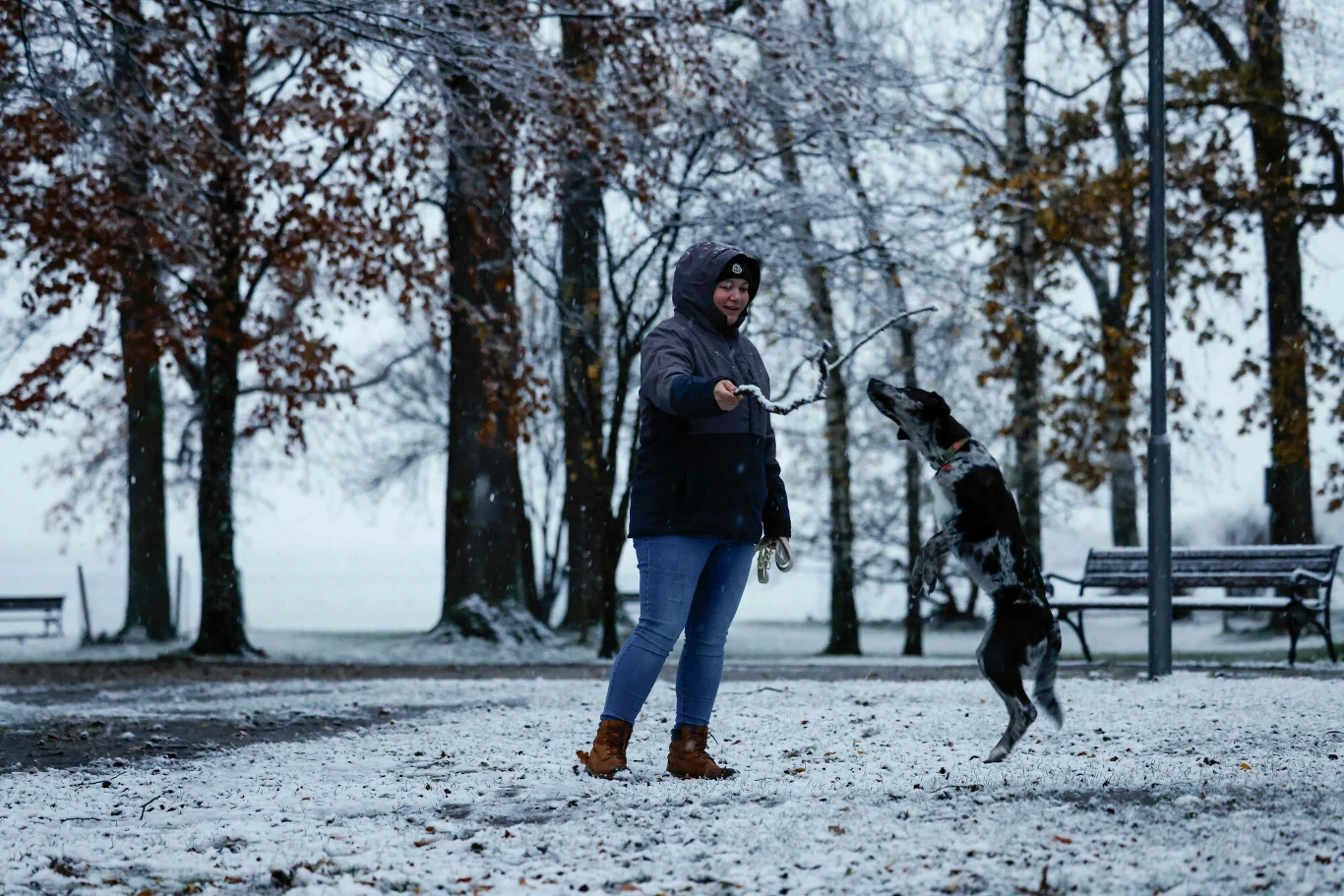 Bezdomność zwierząt w Polsce to nie problem empatii