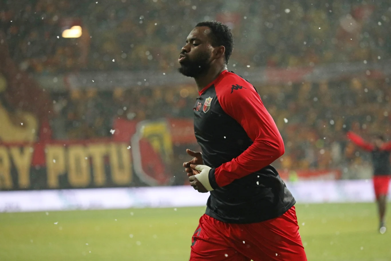 Amifico Pululu Amifico Pululu