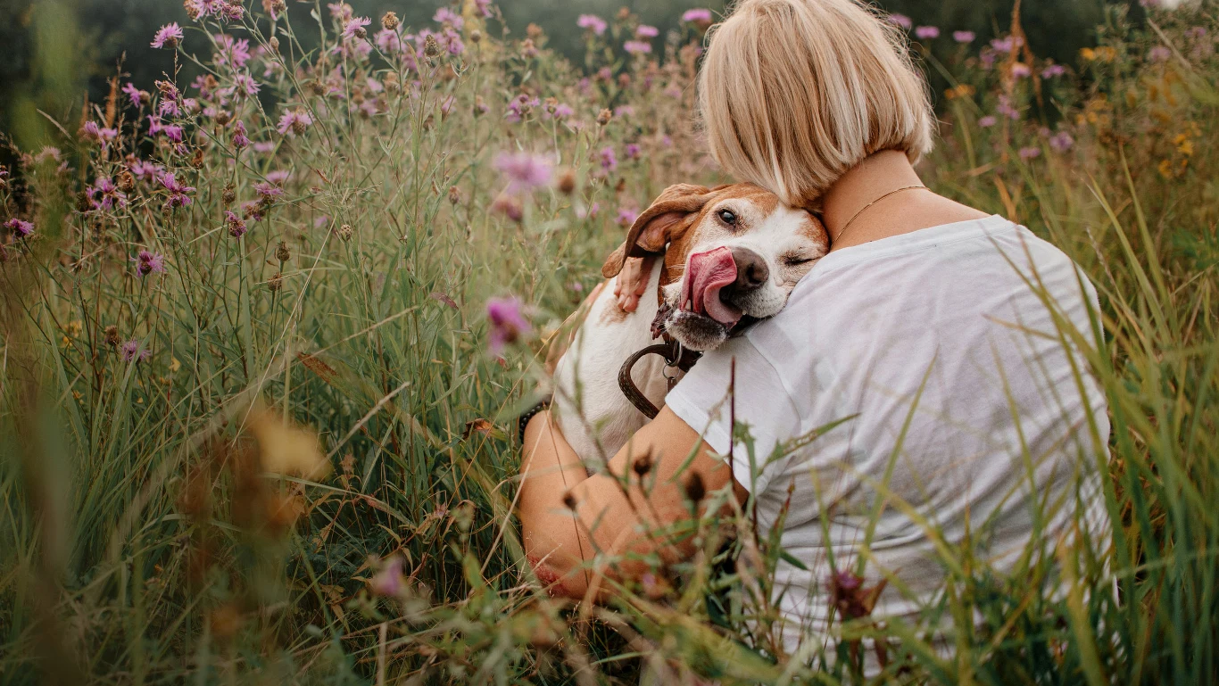 Żałoba po ukochanym zwierzaku może być trudniejsza niż śmierć członka rodziny Kobieta w białej koszulce siedzi wśród wysokiej trawy i fioletowych kwiatów, obejmując psa, który liże nos i wygląda na zadowolonego.