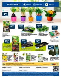 Zakupy pełne korzyści – PSB Mrówka