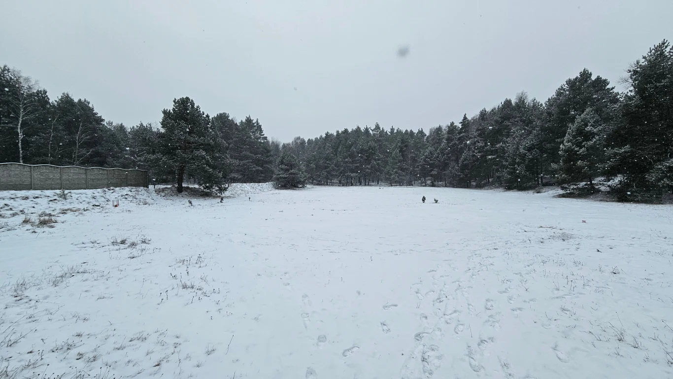 Śnieżna polana otoczona gęstym lasem iglastym, w tle widoczny fragment ogrodzenia oraz kilka drzew, a całość pokryta świeżą warstwą śniegu.