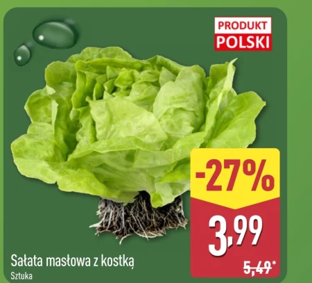 Масляний салат Polski