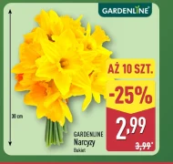 Букет Gardenline