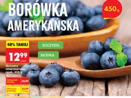 Borówka amerykańska