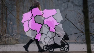 Na różowo zaznaczyliśmy województwa, w których wygrała Zofia