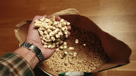 Dlaczego pellet jest taki drogi? Na wzrost cen wpływ ma kilka czynników jak duży popyt i ograniczenie dostępu do surowca. 