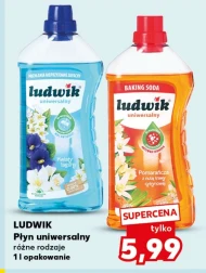 Універсальна рідина Ludwik